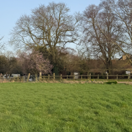 Image of Grazing Land at Welby