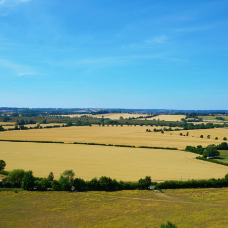 Image of UK Farmland