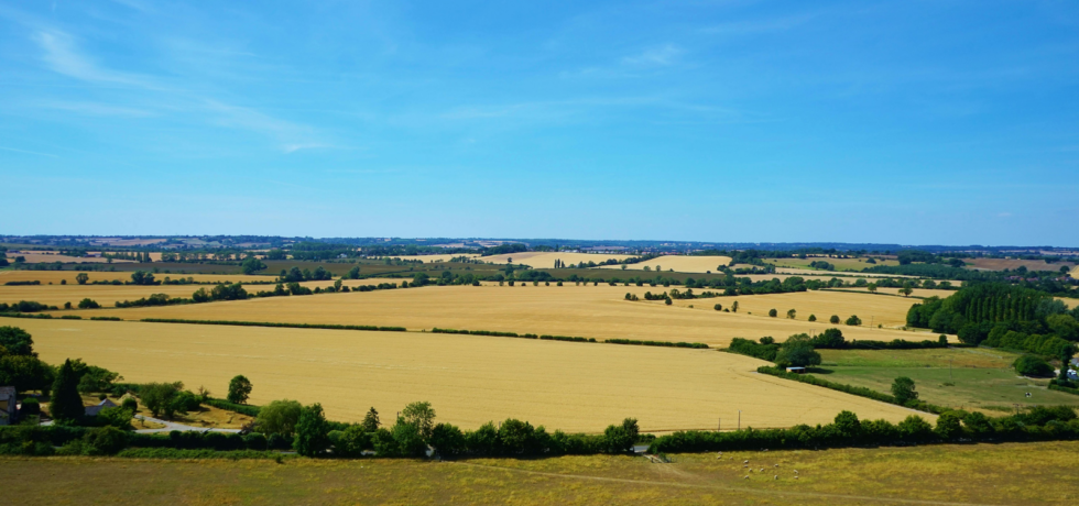 Image of UK Farmland