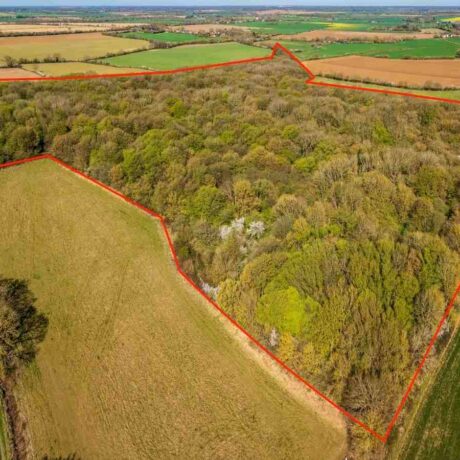 Drone image of Lord's wood forest with red outline