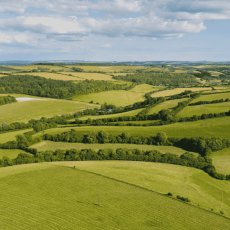 Ariel shot of farmland