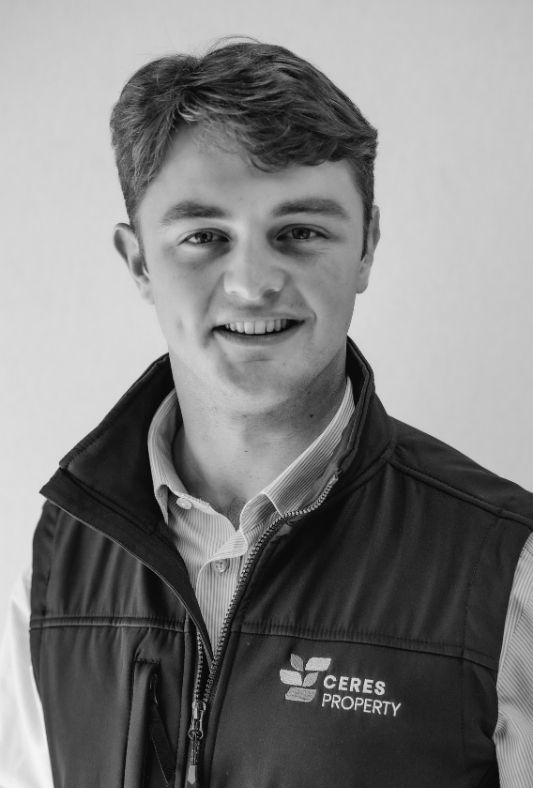 Headshot image of Freddie Fairey