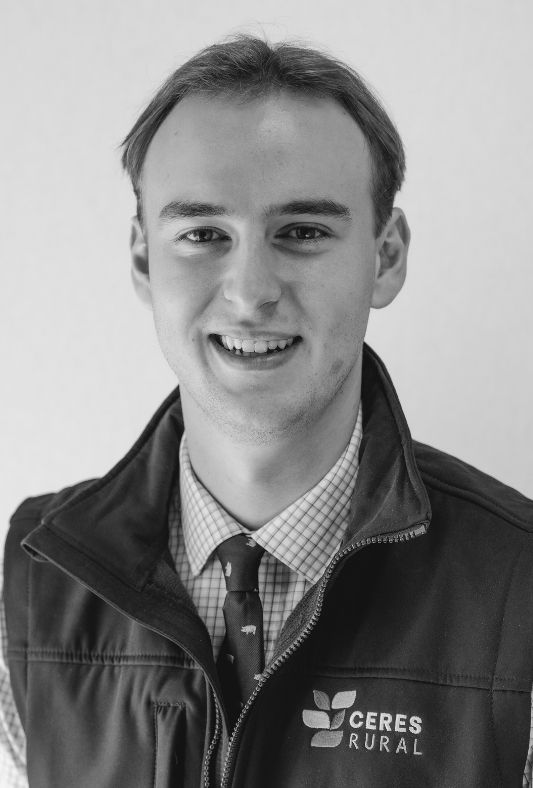 Headshot image of Charlie Maddaford