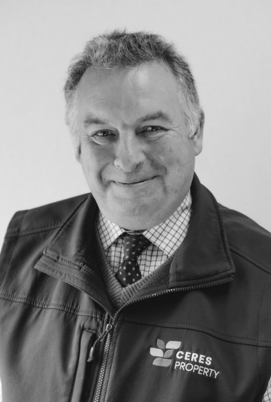 Headshot image of Timothy Brassington